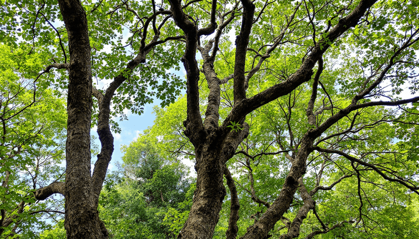 The Benefits of Dopamine Detox for Digital Balance